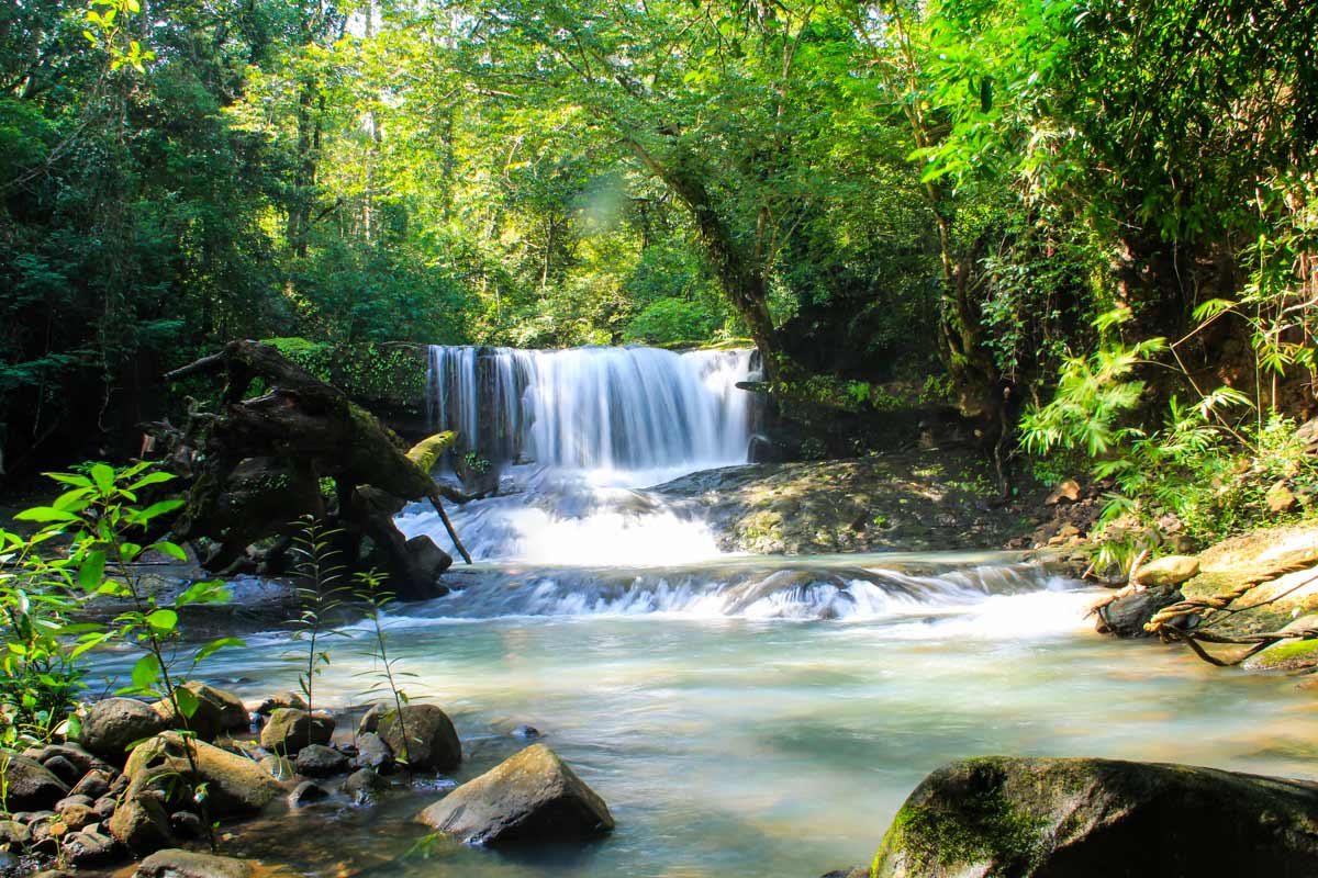 Gợi ý 3 khu rừng nhiệt đới gần TP. Hồ Chí Minh cho kỳ nghỉ lễ 30/4 và 1/5