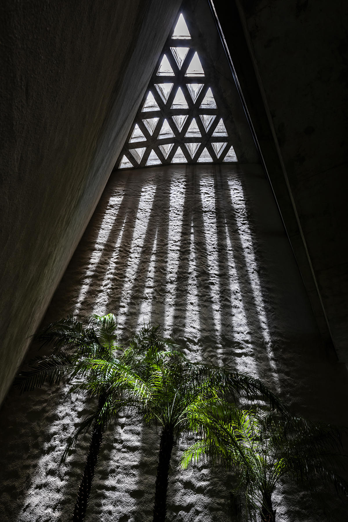 Chiêm ngưỡng tòa nhà 'đội nón lá' đoạt giải kiến trúc Quốc tế