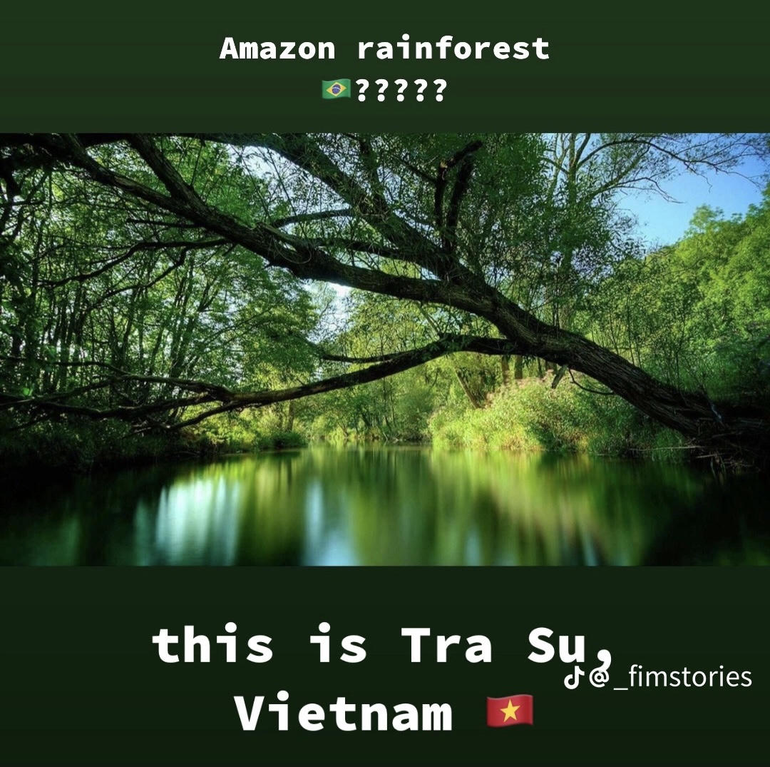 Du khách nước ngoài so sánh cảnh đẹp Việt Nam với nhiều nơi nổi tiếng trên thế giới