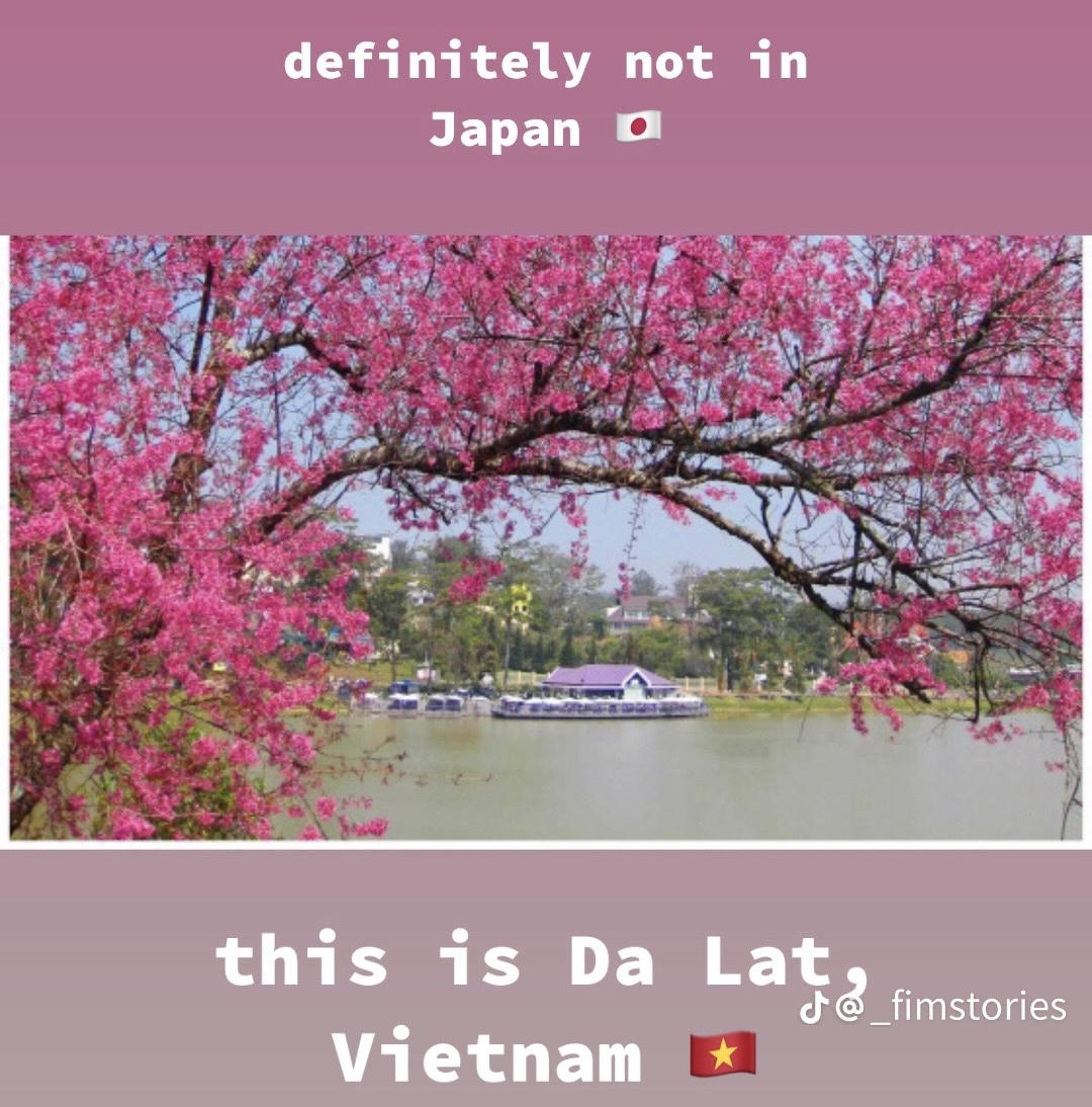 Du khách nước ngoài so sánh cảnh đẹp Việt Nam với nhiều nơi nổi tiếng trên thế giới