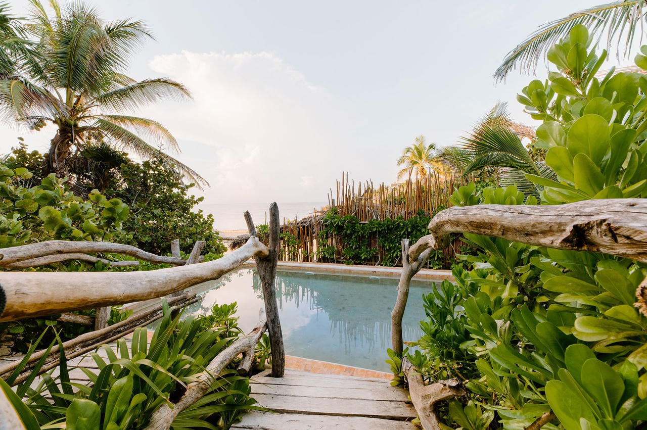 Khám phá khu nghỉ dưỡng trên cây độc đáo, chỉ dành cho du khách 18+