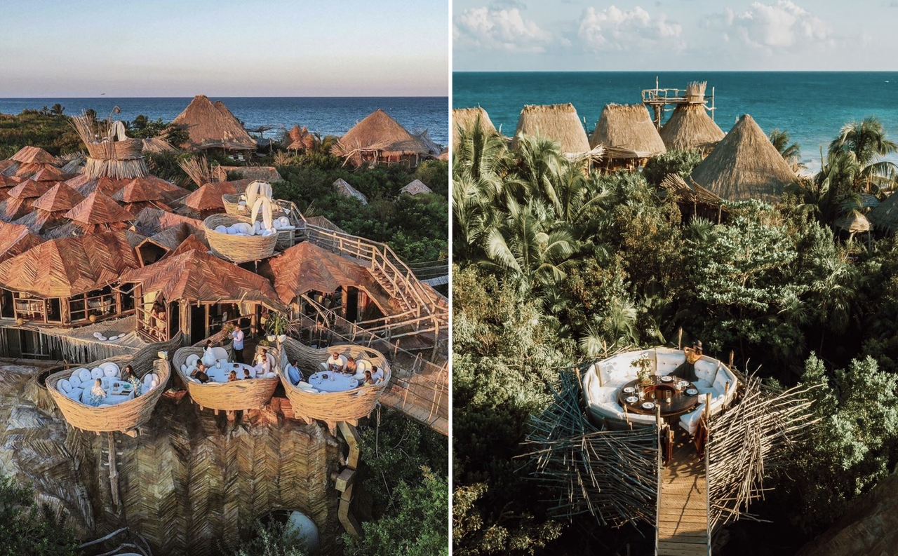 Khám phá khu nghỉ dưỡng trên cây độc đáo, chỉ dành cho du khách 18+