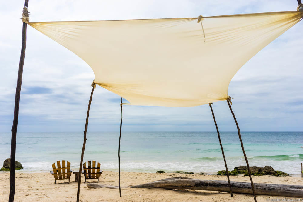 Khám phá khu nghỉ dưỡng trên cây độc đáo, chỉ dành cho du khách 18+