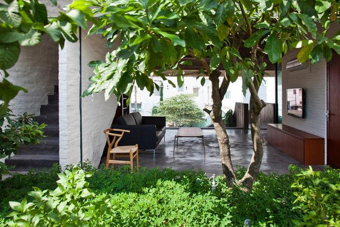 “Nhà Bình Thạnh” - Ngôi nhà độc đáo dùng khối bê tông “bọc” mặt tiền 