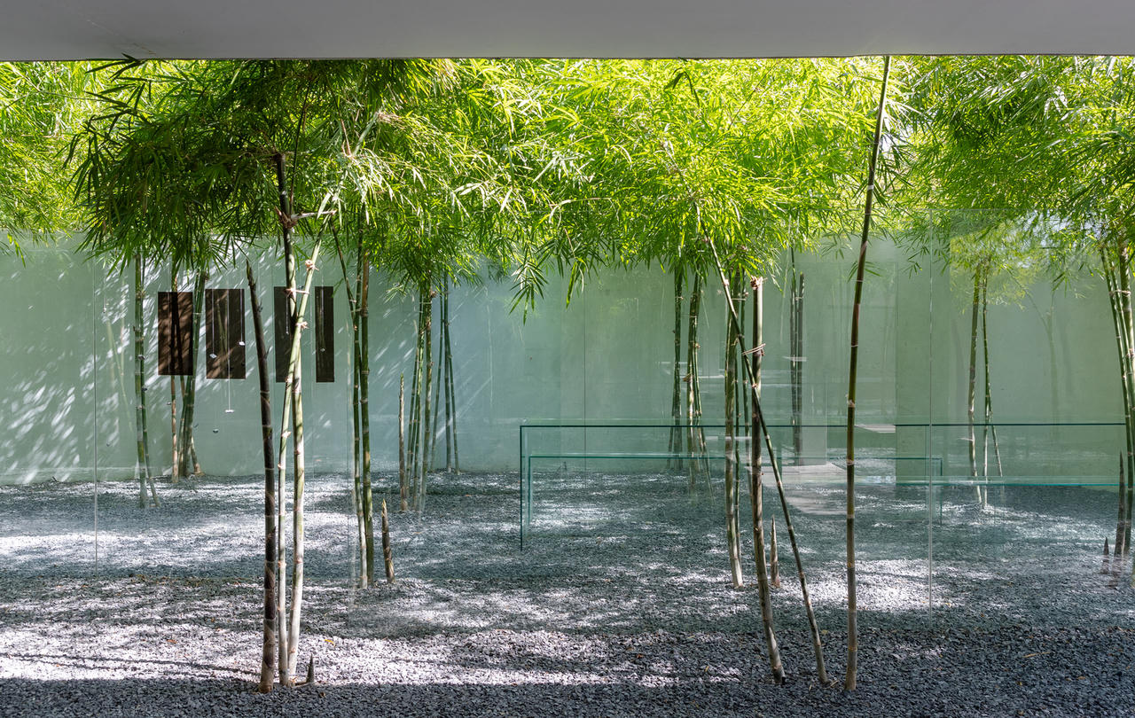 Mát mắt với căn nhà có 3 hàng tre xanh bao quanh ở TPHCM 