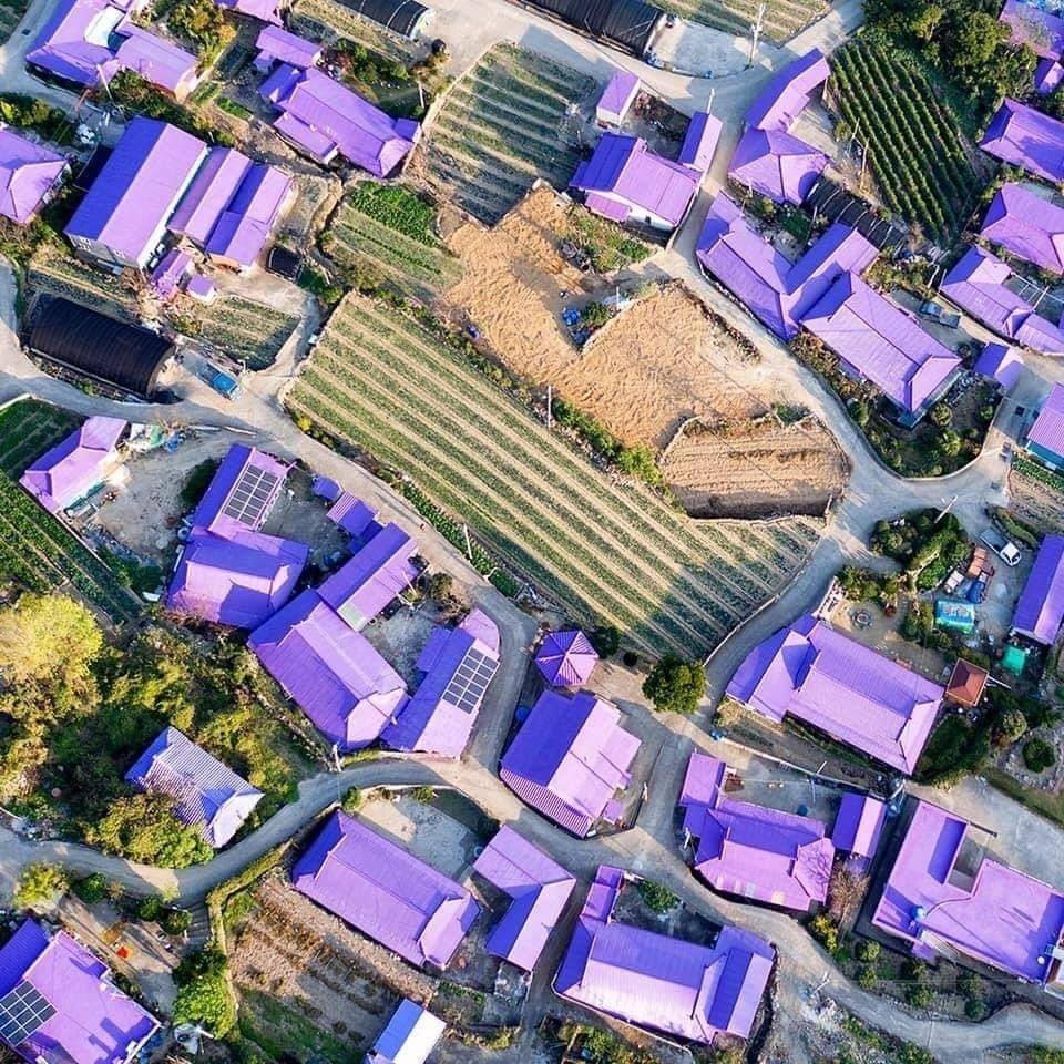 Đảo tím - Thiên đường cho những người yêu thích màu tím mộng mơ 