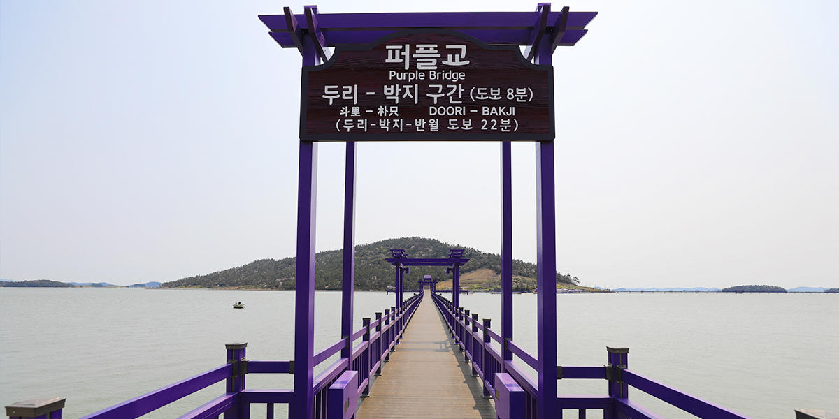 Đảo tím - Thiên đường cho những người yêu thích màu tím mộng mơ 