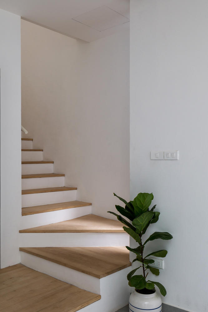 Ngôi nhà nhỏ tràn ngập ánh sáng và cây xanh trong con ngõ hẹp ở Hà nội 