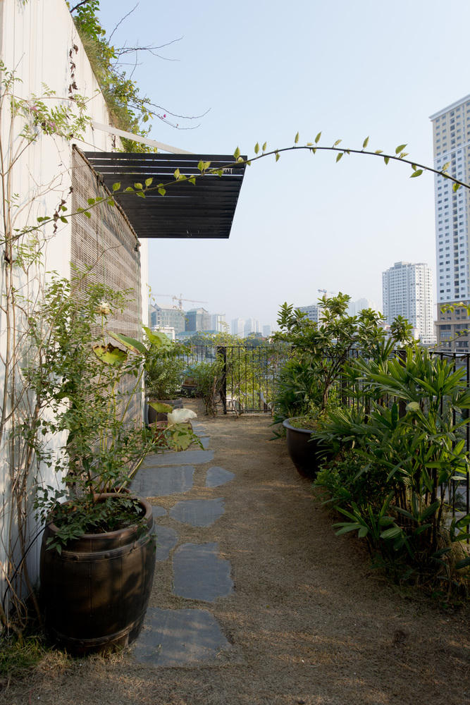 Chiêm ngưỡng ngôi nhà phủ kín cây xanh giữa lòng thủ đô Hà Nội