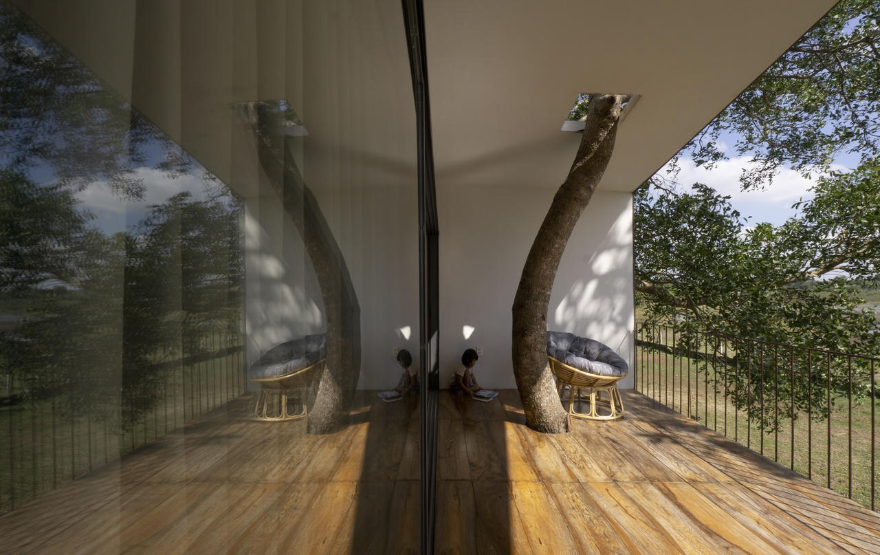 Ngôi nhà trên cây không cần điều hoà và có thể tháo rời, di chuyển