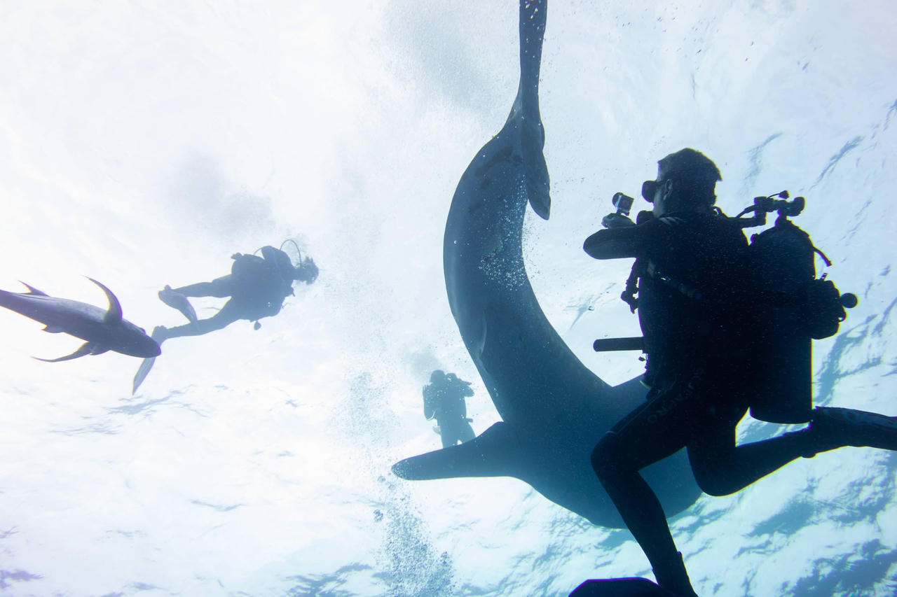 Khám phá khu nghỉ dưỡng đắt nhất thế giới từng có giá 2,4 tỷ đồng/đêm 