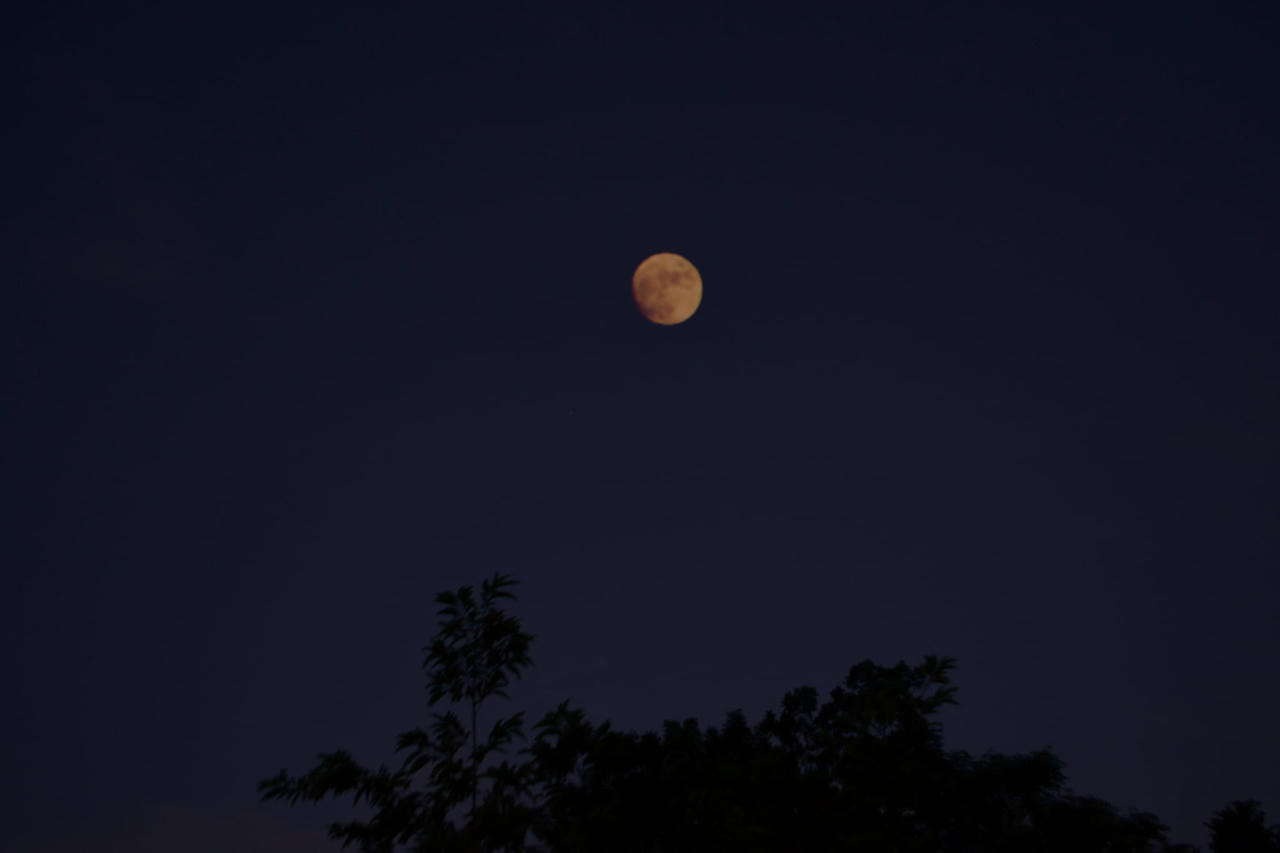 Hình ảnh tuyệt đẹp của Trăng Sấm Sét tỏa sáng trên bầu trời 