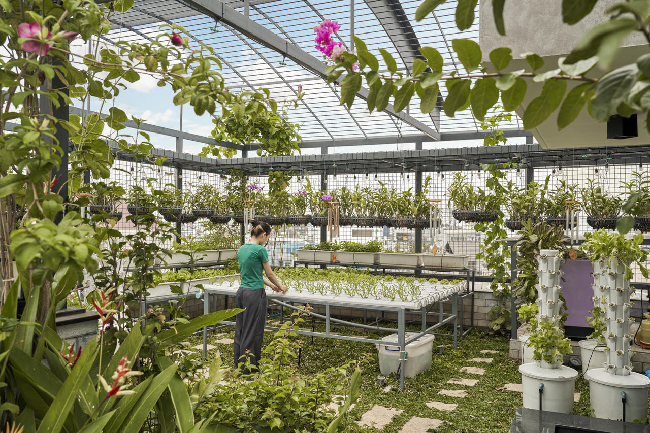 Độc đáo ngôi nhà ‘mặc áo’ chống nóng ở Sài Gòn