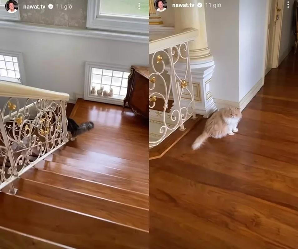 Chiêm ngưỡng cung điện của Chủ tịch Nawat Itsaragrisil 