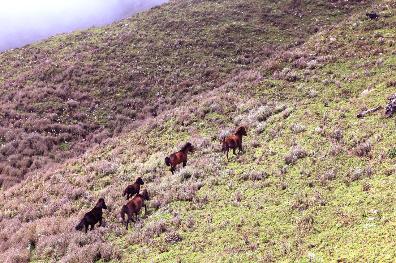 Kinh nghiệm Trekking Tà Chì Nhù