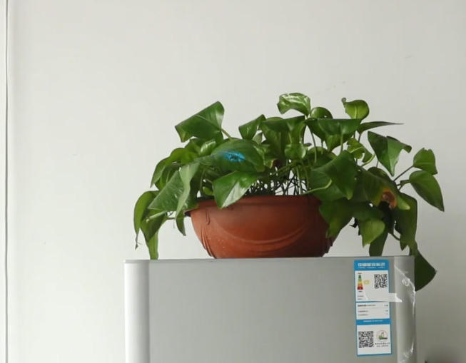 Những đồ vật không nên đặt trên tủ lạnh