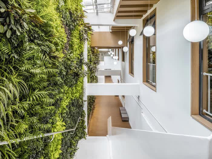 Chiêm ngưỡng Đại học Bắc Kinh, Trung Quốc