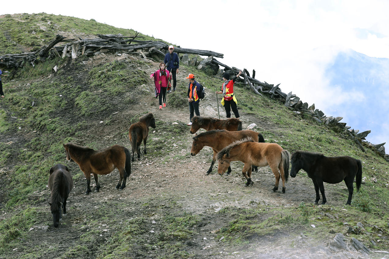 Leo núi và tác động đến sức khỏe tâm thần