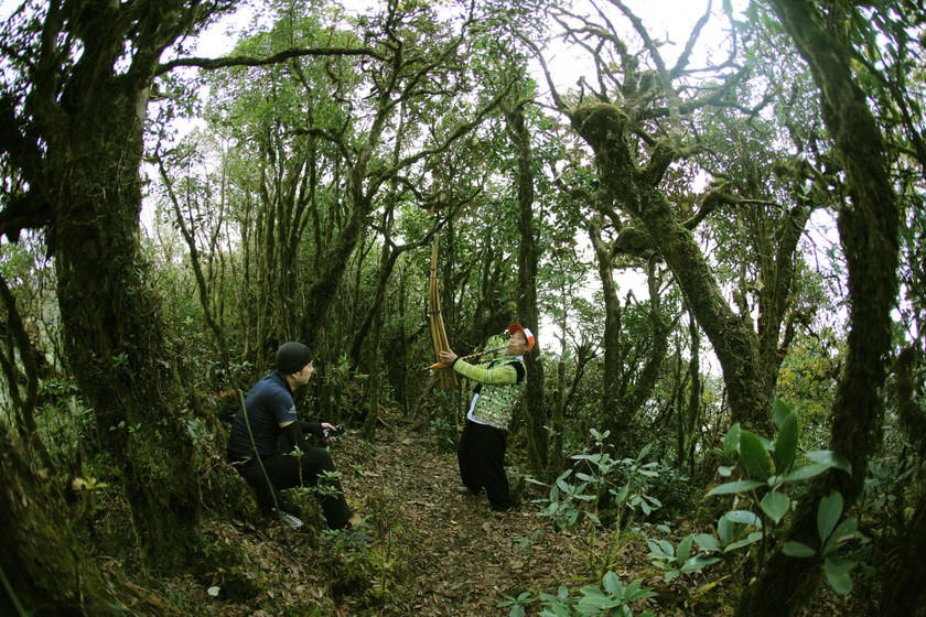 Phải một lần đặt chân tới Tà Xùa