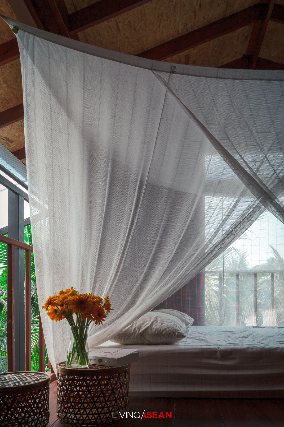 Mát mắt nhà sàn giữa vườn dừa bất chấp thời tiết khắc nghiệt