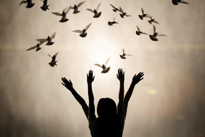 Phóng sinh sao cho đúng?