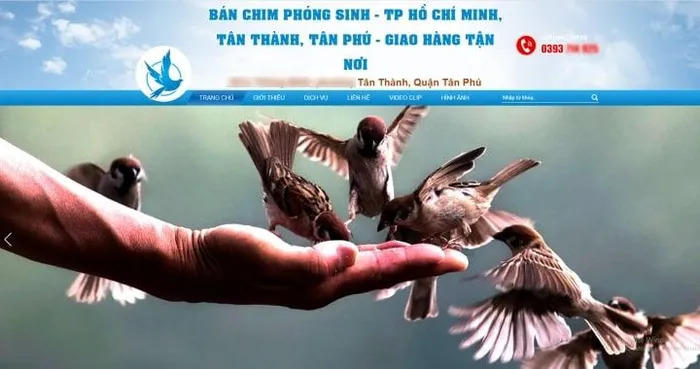 Nhà chùa xin hãy đừng tổ chức nghi lễ phóng sinh nữa 
