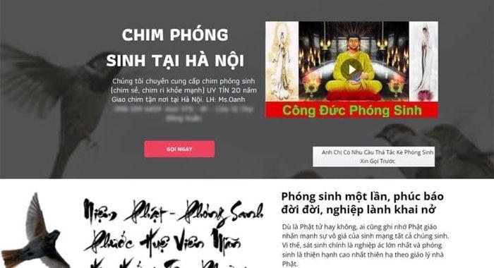 Nhà chùa xin hãy đừng tổ chức nghi lễ phóng sinh nữa 