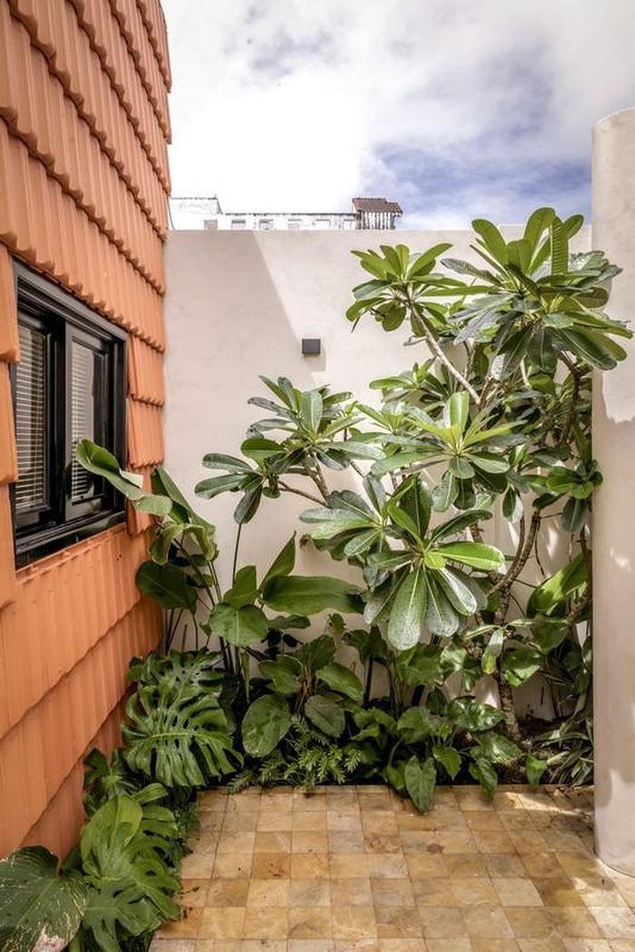 Độc đáo ngôi nhà có 7 khu vườn tại Cần Thơ