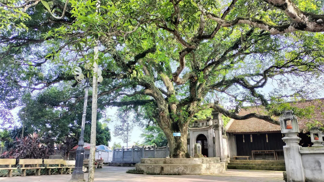 Khám phá ngôi chùa tháp cao nhất Việt Nam