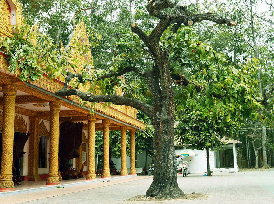 Tham quan Chùa Bốn Mặt gần 500 tuổi ở Sóc Trăng