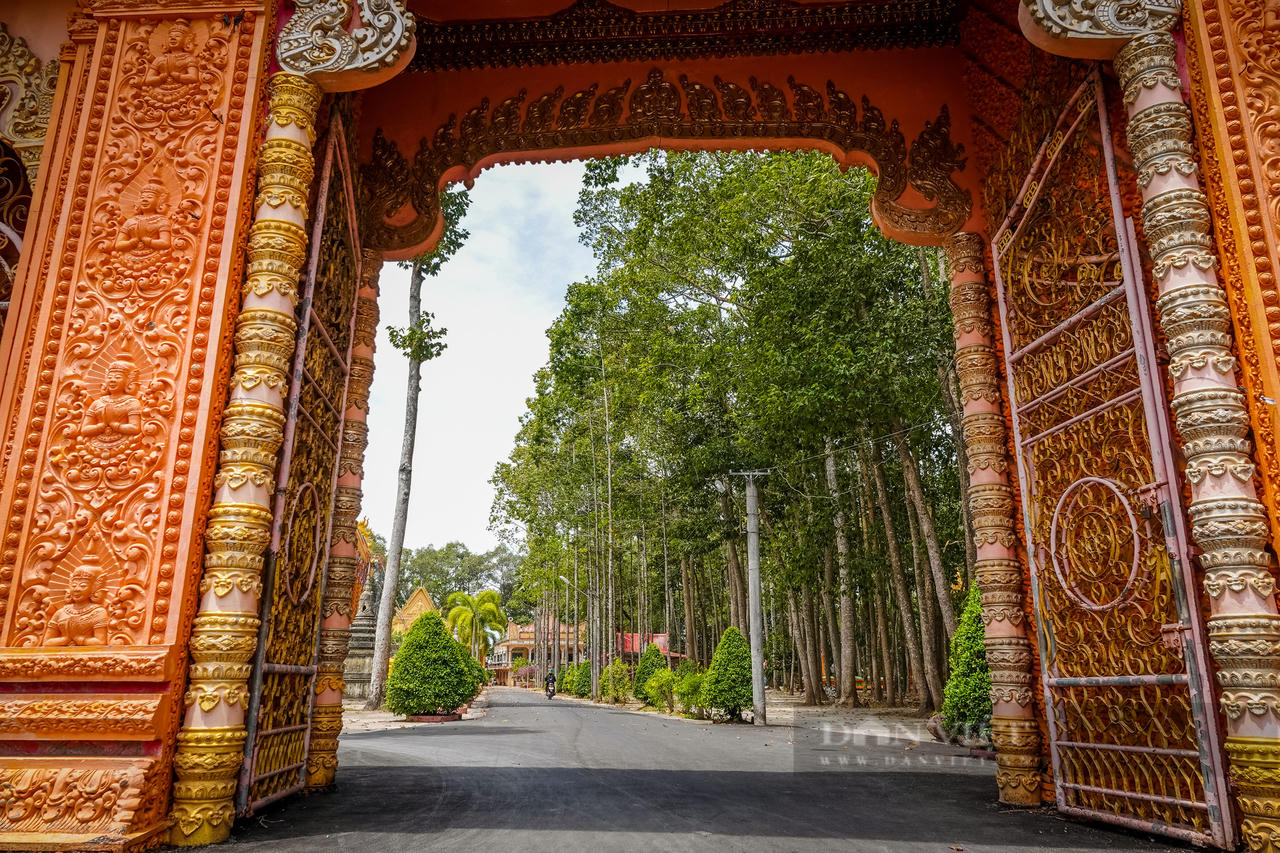 Ngôi chùa với hàng cây sao cổ thụ “độc nhất vô nhị” ở Sóc Trăng