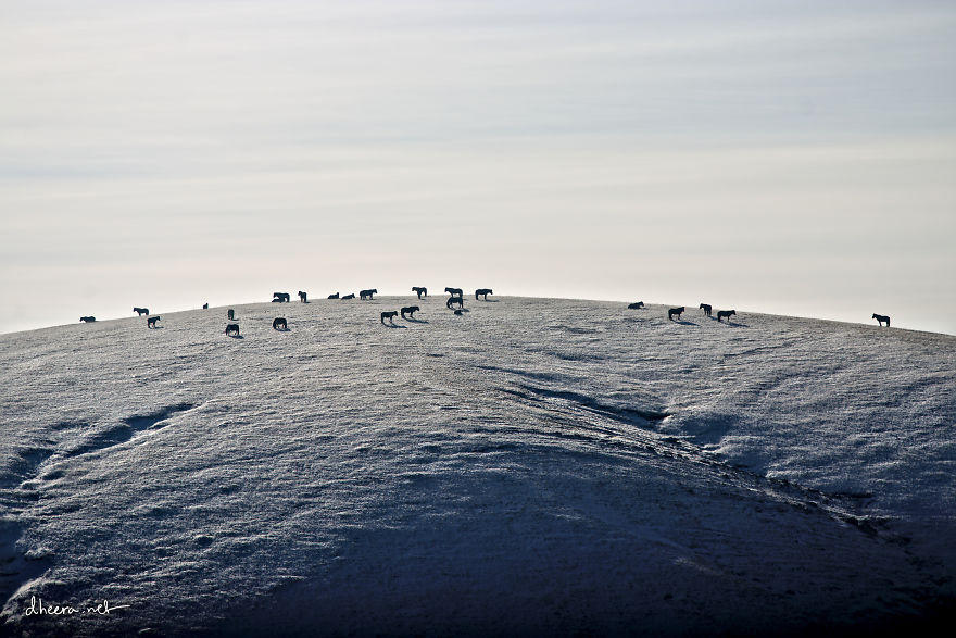 Chiêm ngưỡng cảnh đẹp tuyệt vời mùa đông ở Mông Cổ