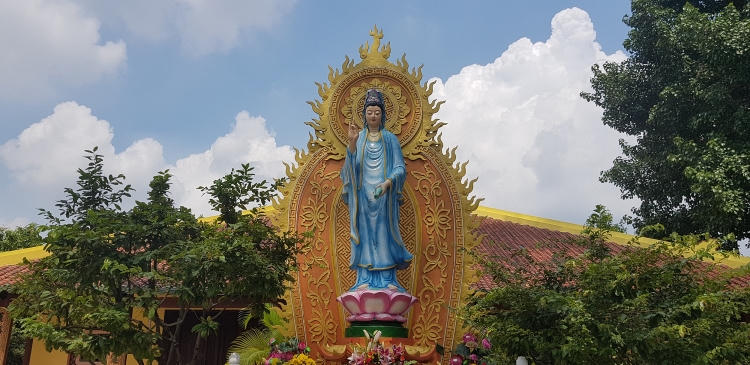 Phụng Sơn – Ngôi chùa sở hữu loài cây quý hiếm bậc nhất 