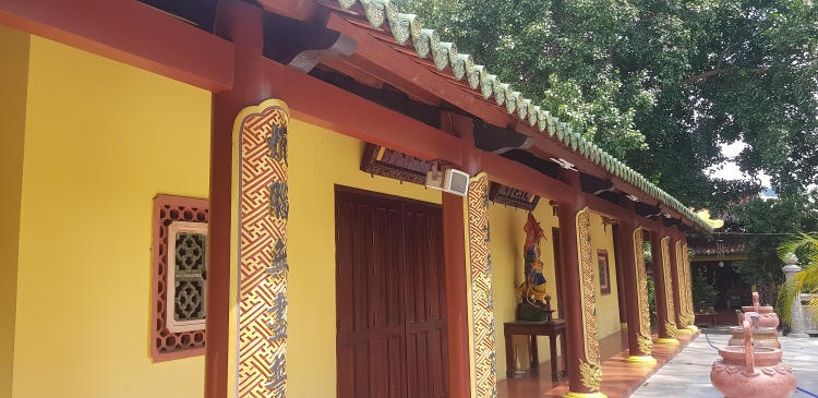 Phụng Sơn – Ngôi chùa sở hữu loài cây quý hiếm bậc nhất 