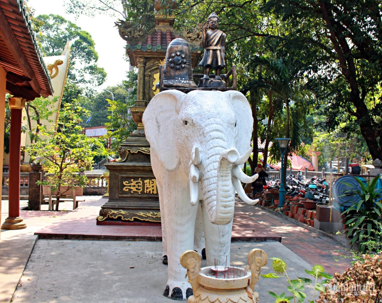 Phụng Sơn – Ngôi chùa sở hữu loài cây quý hiếm bậc nhất 