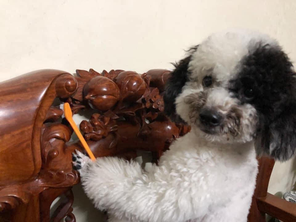 Truyền thống dọn dẹp và trang trí nhà cửa ngày Tết 