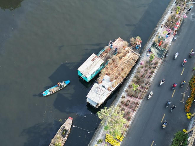 Các hoạt động văn hóa và giải trí dịp Tết 2024