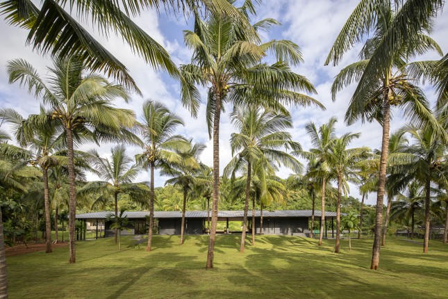 Nhà vườn ẩn mình với thiết kế độc đáo giấu các lớp cửa lùa 