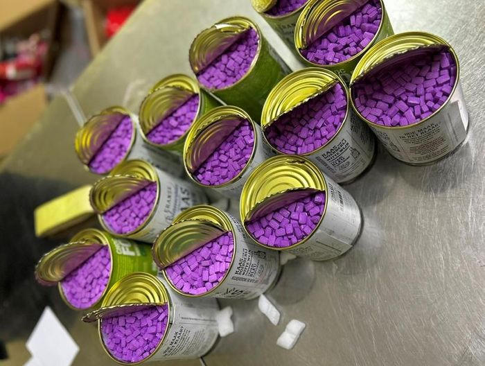 Triệt phá đường dây vận chuyển chất ma túy bằng máy bay từ châu Âu về Việt Nam 