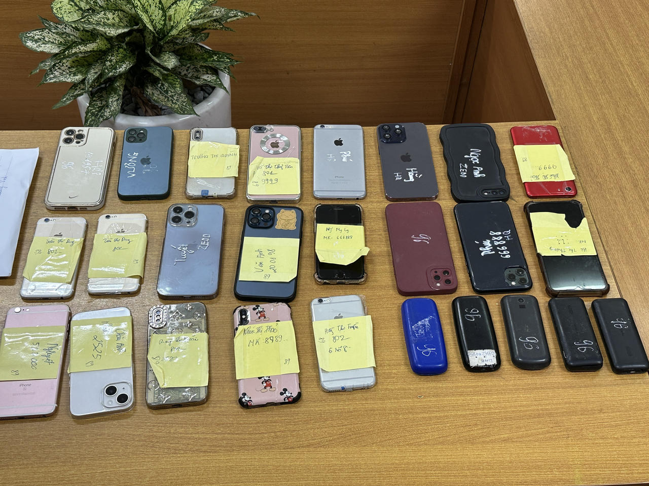 'Đánh sập' đường dây môi giới cho 300 gái bán dâm