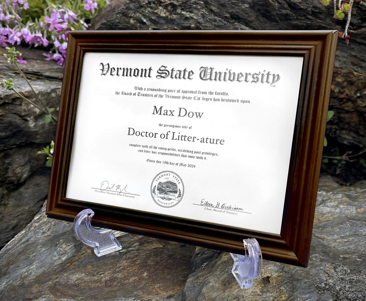 Một chú mèo ở Mỹ được trao bằng tiến sĩ 