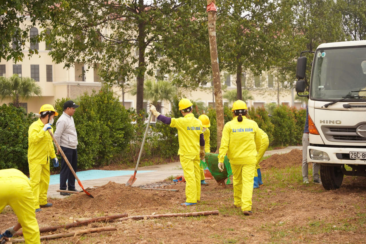 Ngày hội trồng cây 2025 hướng tới Tầm nhìn xanh