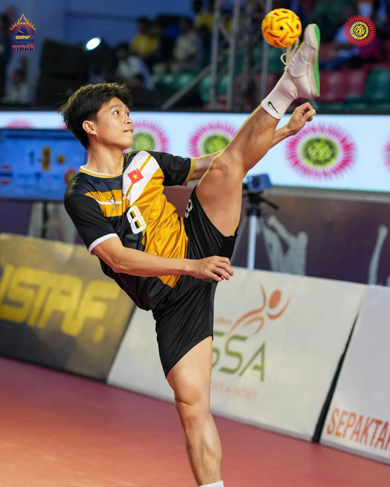 Cầu mây Việt Nam: Vươn tầm thế giới, khát vọng đầu tư