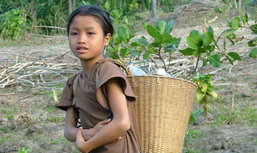 Hạn hán đang càn quét Tây Nguyên 