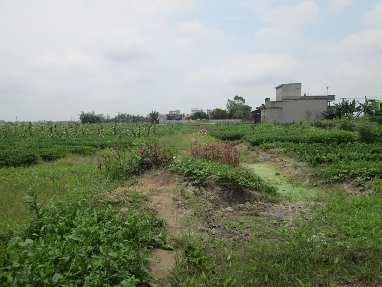 Nam Định: Nghi án xã bao che trưởng thôn lạm quyền