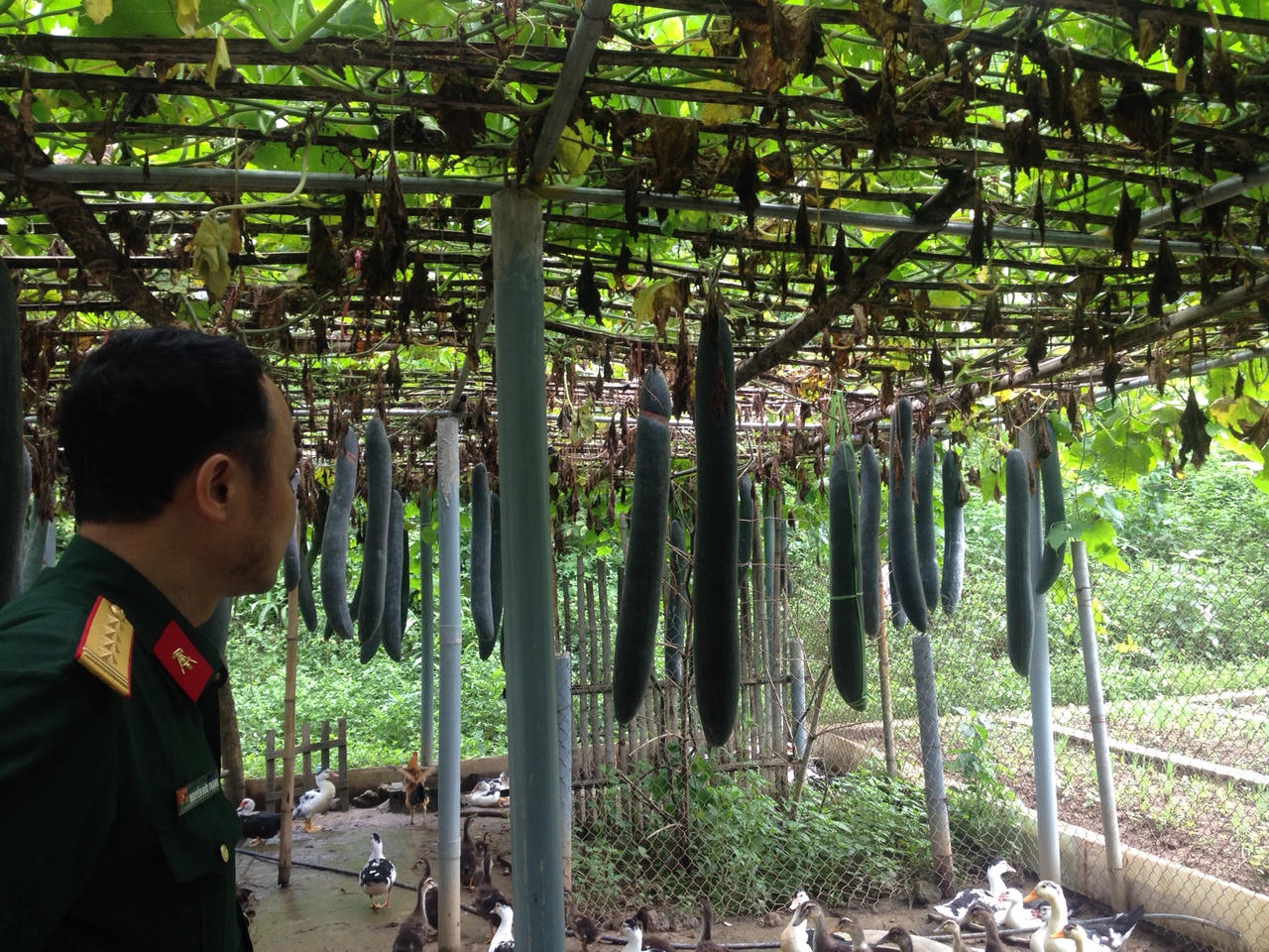 Dâng hương tri ân các Anh hùng liệt sỹ Điện Biên Phủ