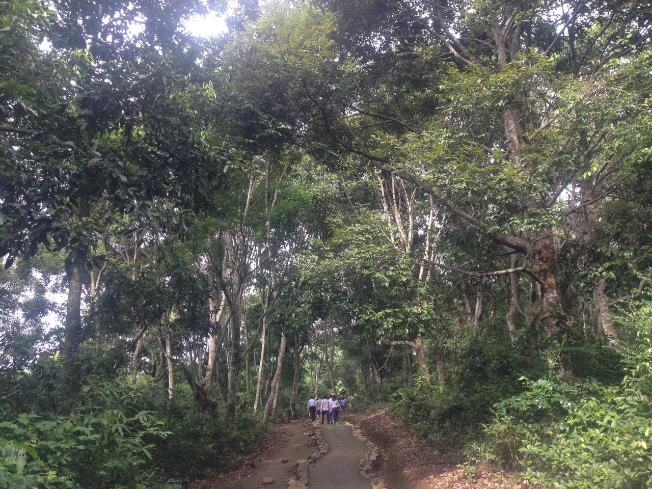 Về với Mường Phăng mùa tri ân 