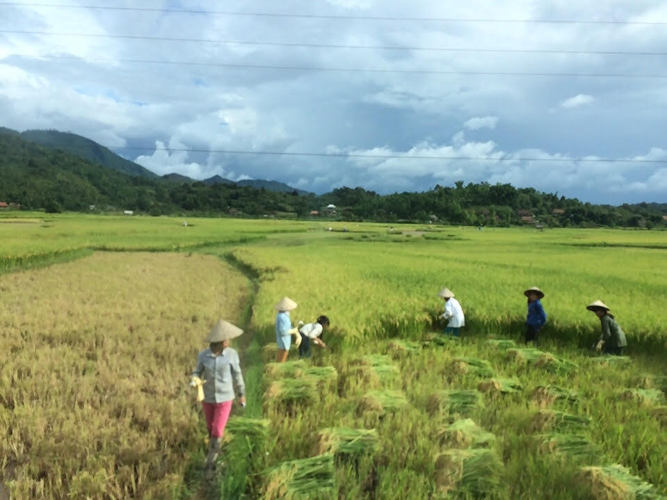 Về với Mường Phăng mùa tri ân 