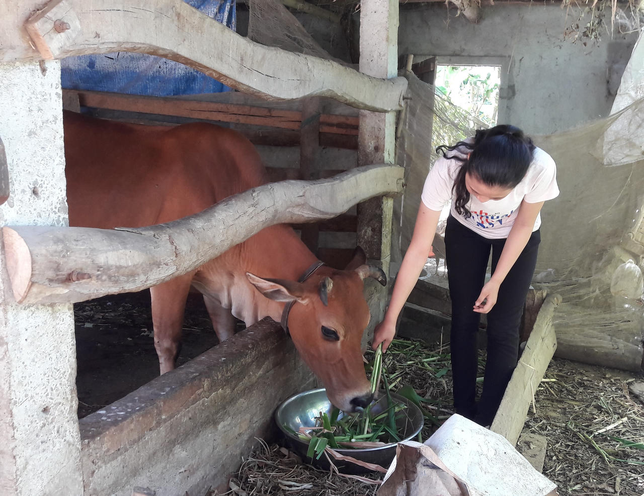 Gặp cô học trò nghèo đạt điểm 10 môn địa lý