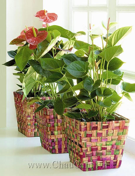 Có cách giảm stress chỉ sau 5 phút